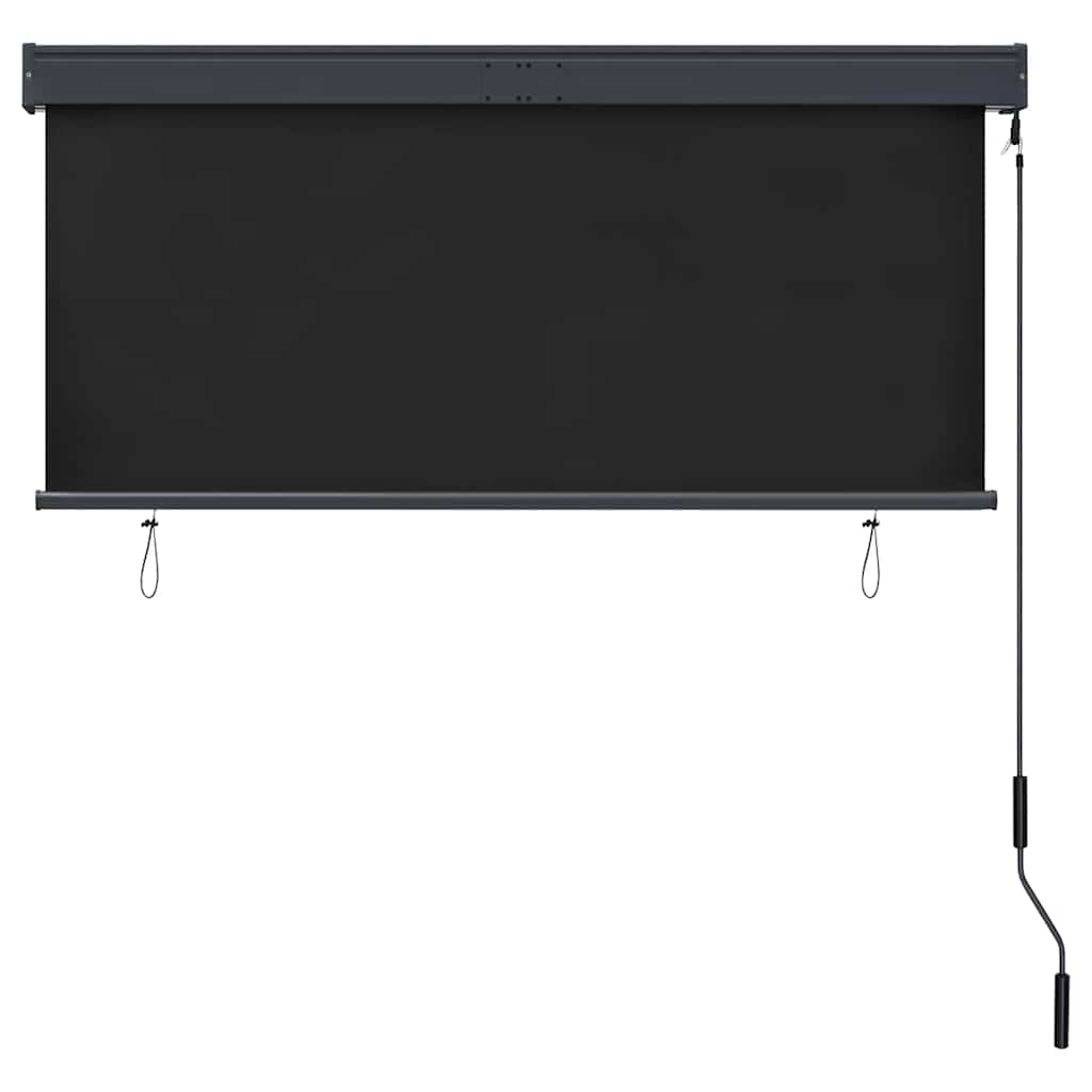 Außenrollo 140x250 cm Anthrazit