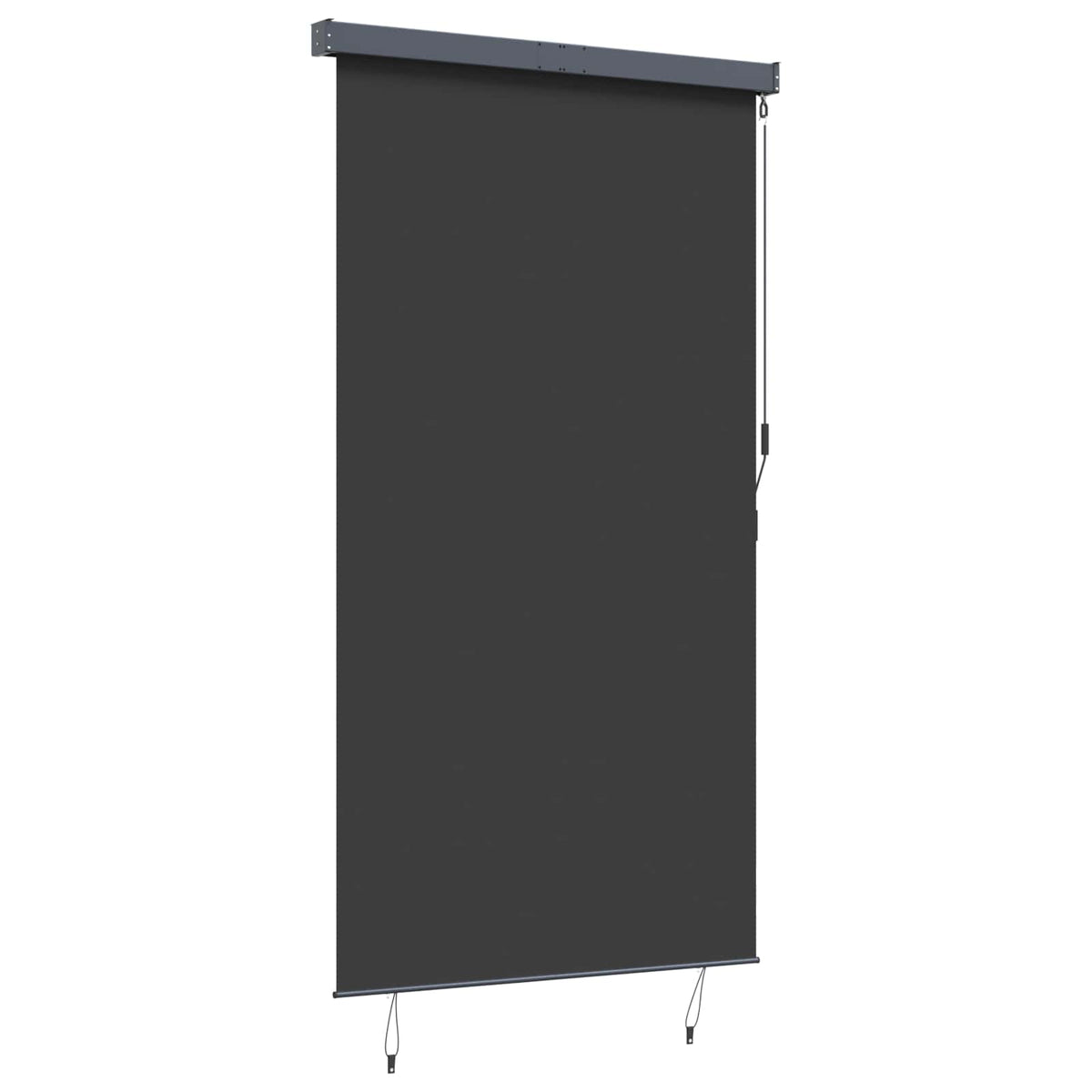 Außenrollo 140x250 cm Anthrazit