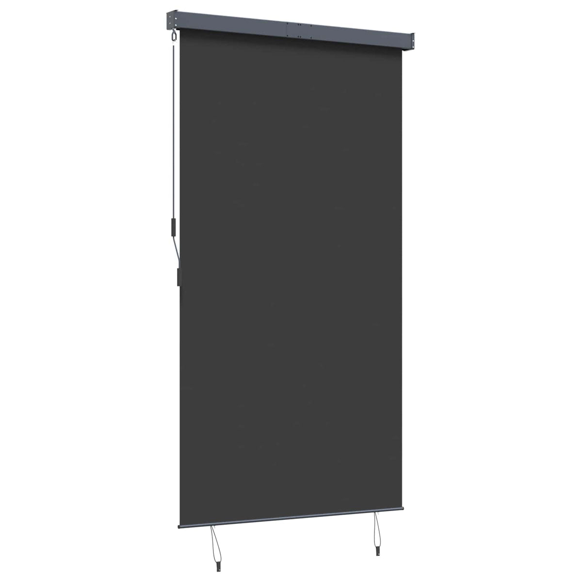 Außenrollo 140x250 cm Anthrazit