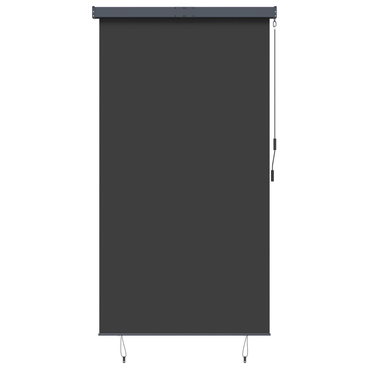 Außenrollo 140x250 cm Anthrazit