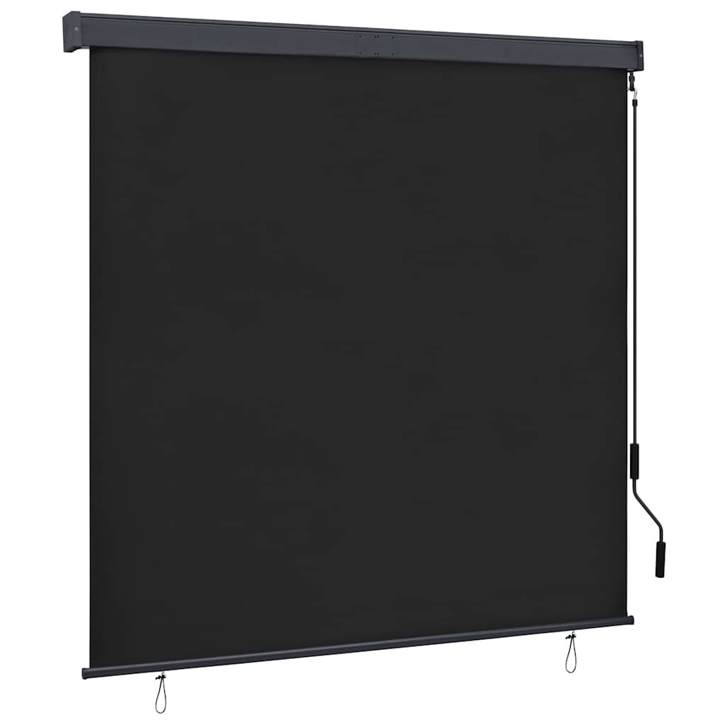 Außenrollo 160x250 cm Anthrazit