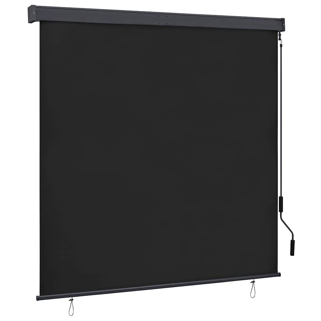 Außenrollo 160x250 cm Anthrazit