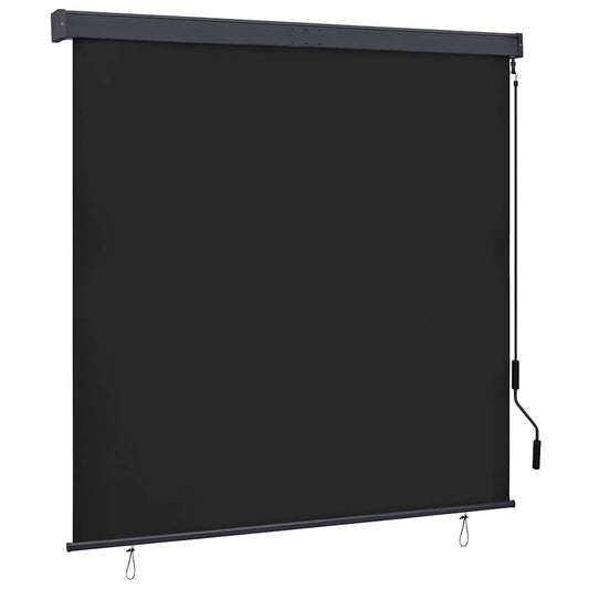 Außenrollo 160x250 cm Anthrazit