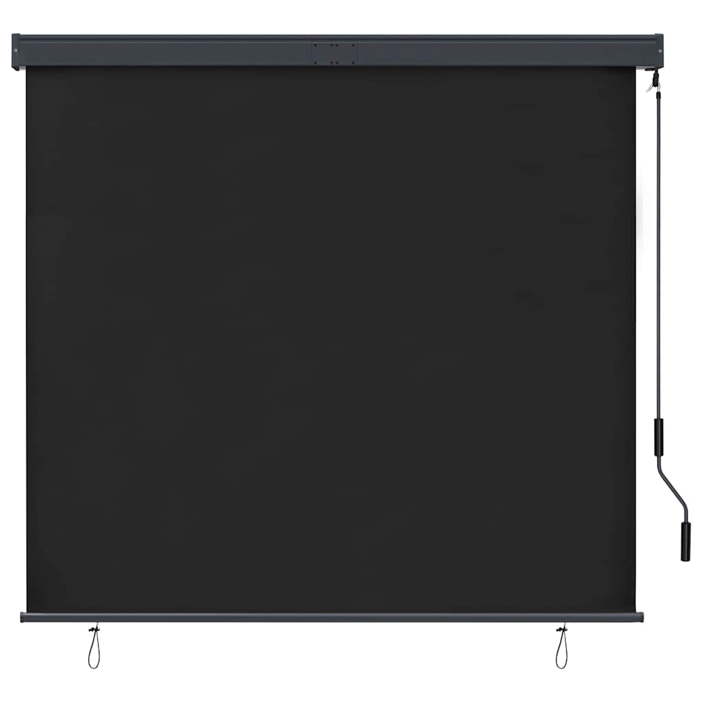 Außenrollo 160x250 cm Anthrazit
