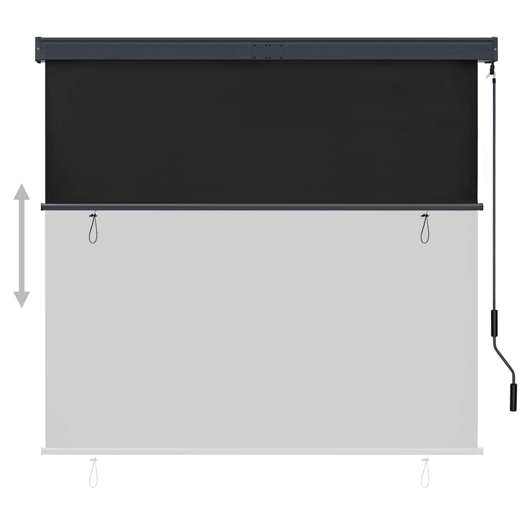 Außenrollo 160x250 cm Anthrazit