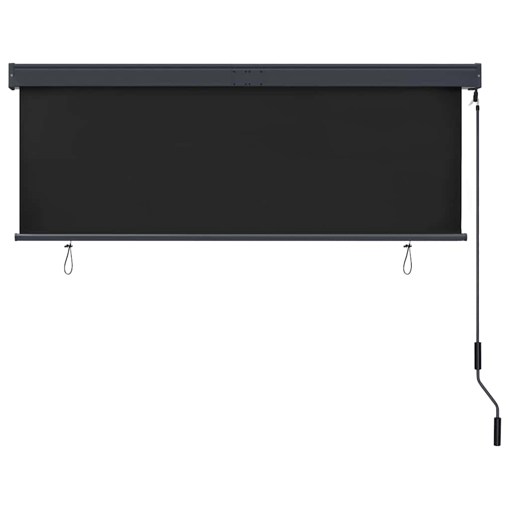 Außenrollo 160x250 cm Anthrazit