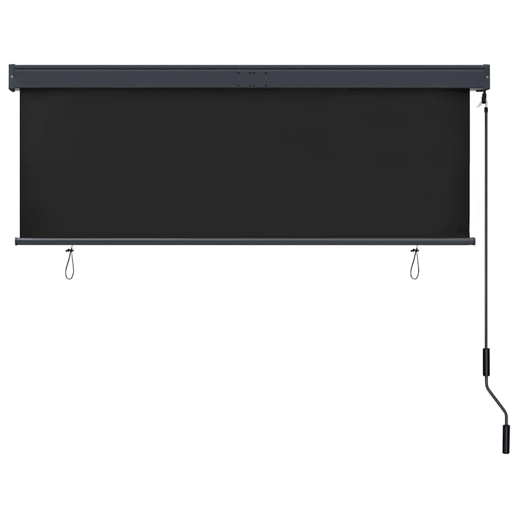 Außenrollo 160x250 cm Anthrazit
