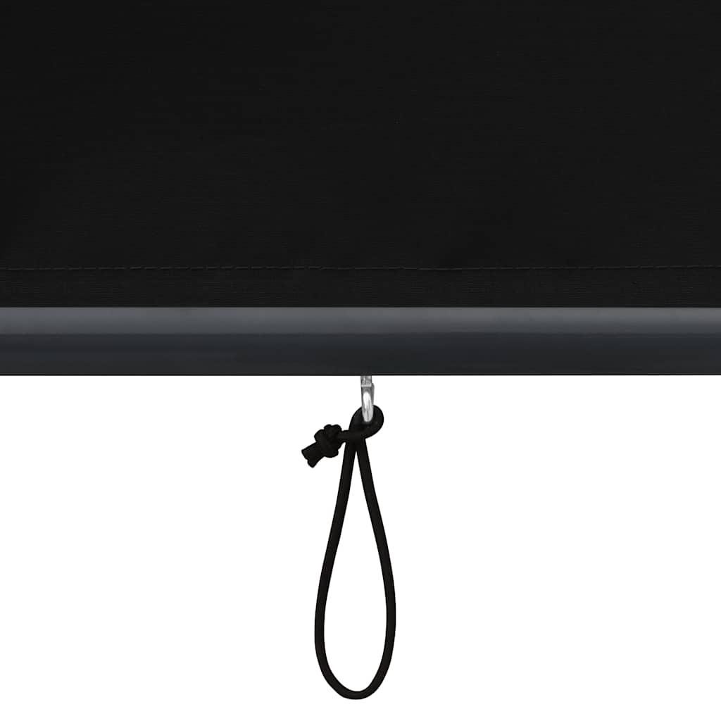Außenrollo 160x250 cm Anthrazit