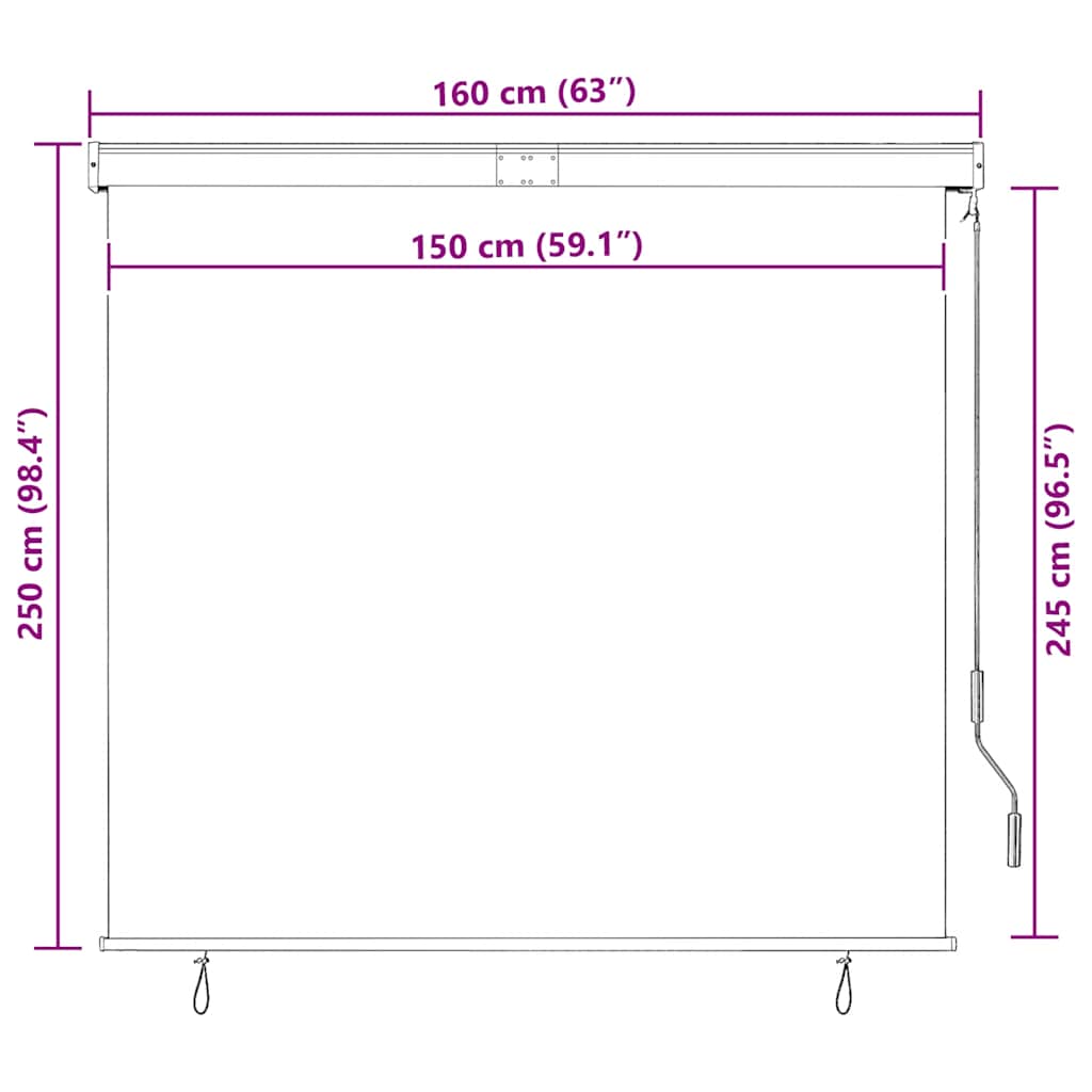 Außenrollo 160x250 cm Anthrazit