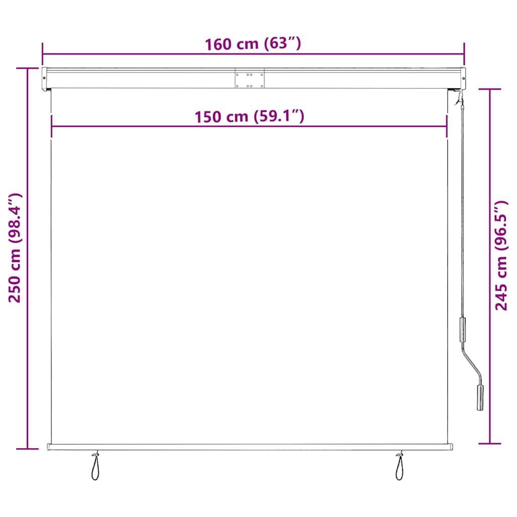 Außenrollo 160x250 cm Anthrazit