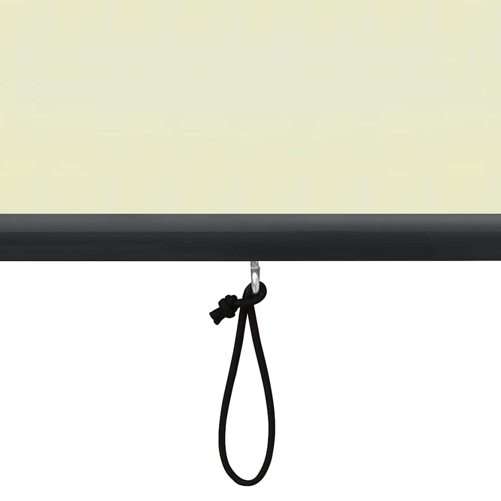 Außenrollo 160x250 cm Creme