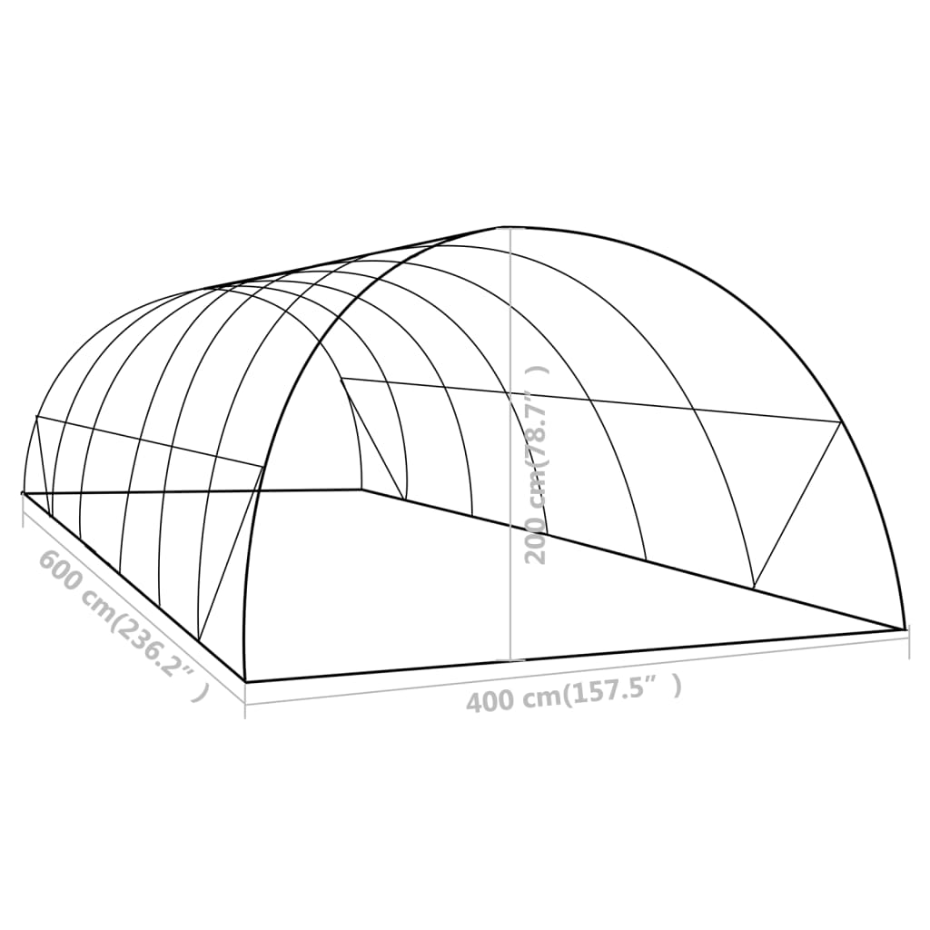 Gewächshaus 24 m² 6x4x2 m