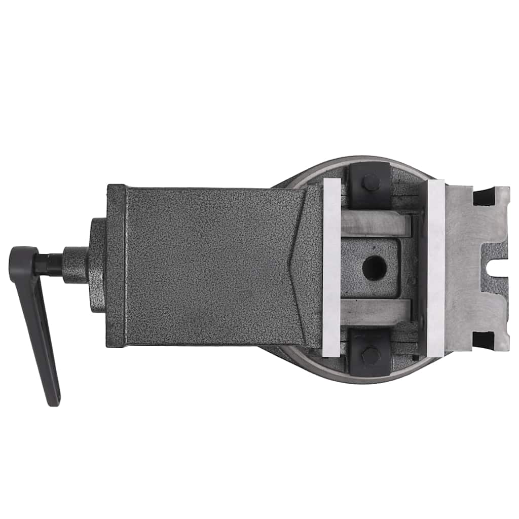 2-Achsen-Schraubstock Kippbar 160 mm