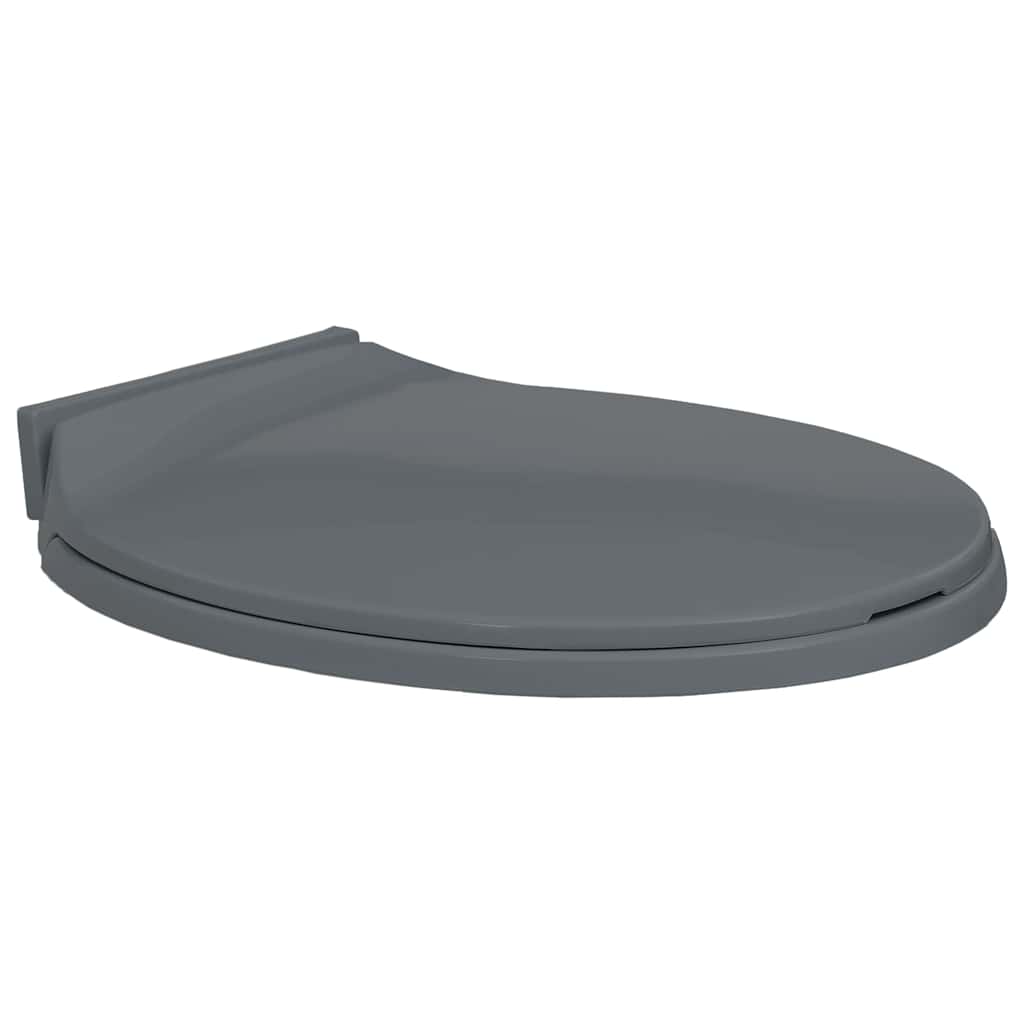 Toilettensitz mit Absenkautomatik Grau Oval