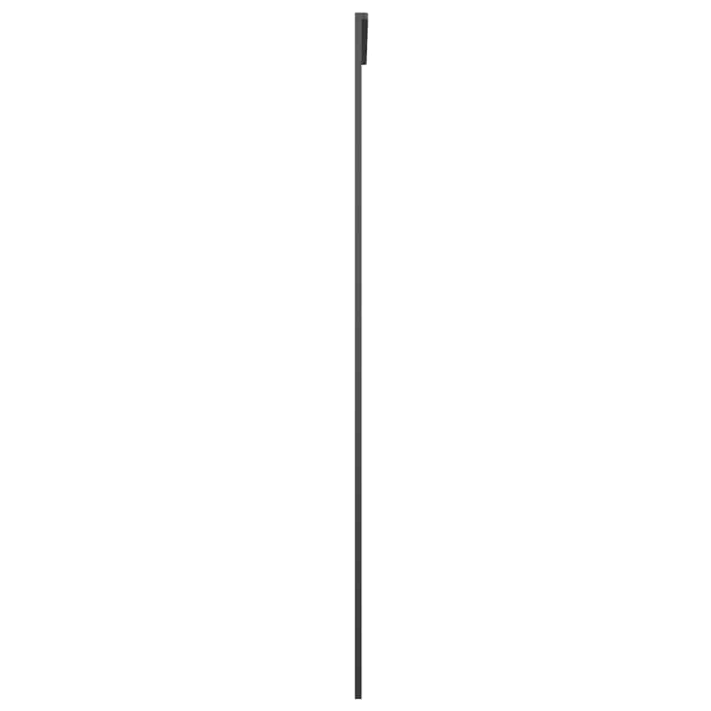 Schiebetür Aluminium und ESG Glas 76x205 cm Schwarz