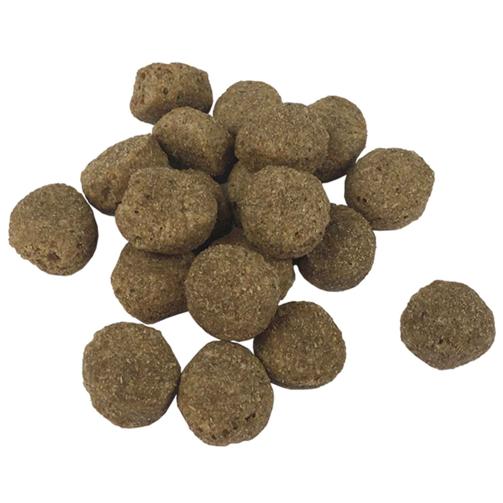 Futterständer und Schüssel mit Hundefutter Silber und Schwarz