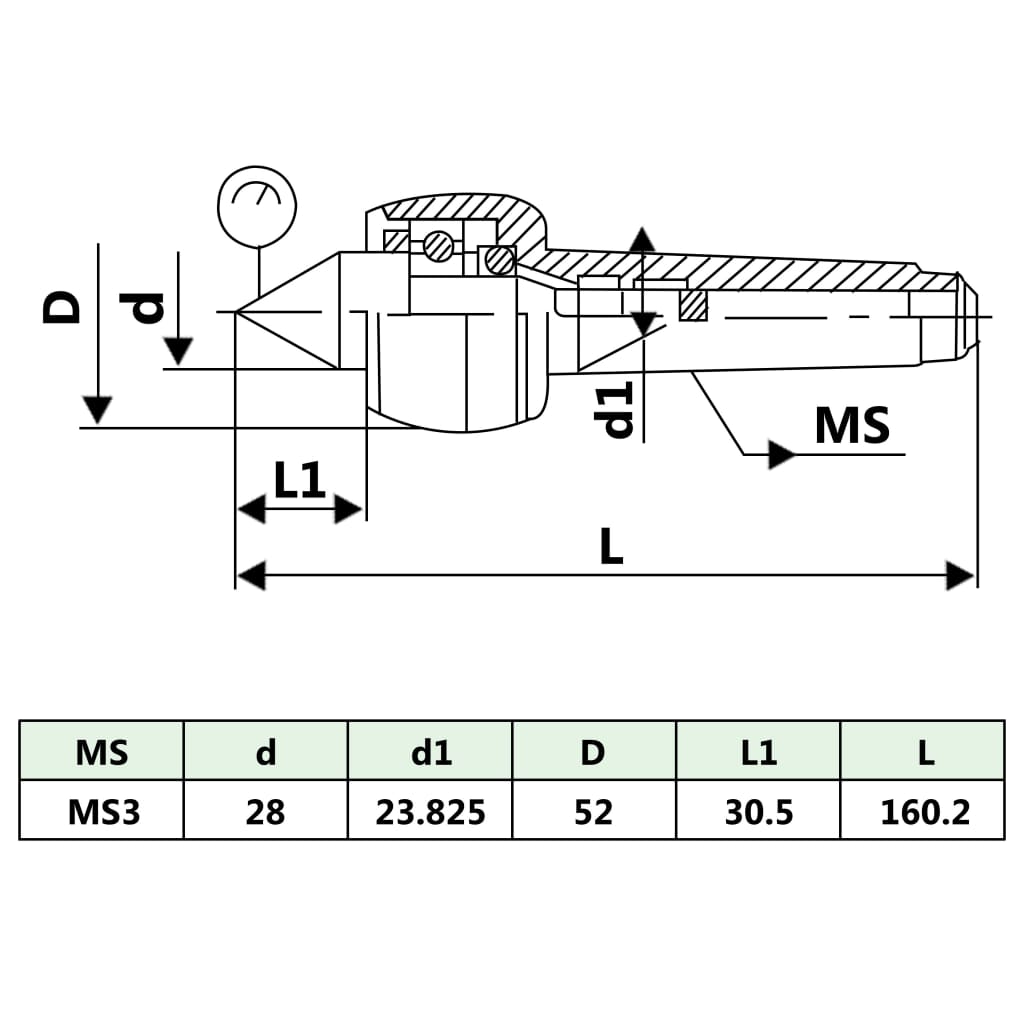 Leichte Zentrierspitze DM313 MT3/MK3