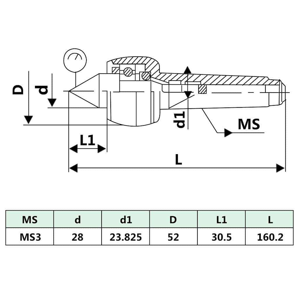 Leichte Zentrierspitze DM313 MT3/MK3