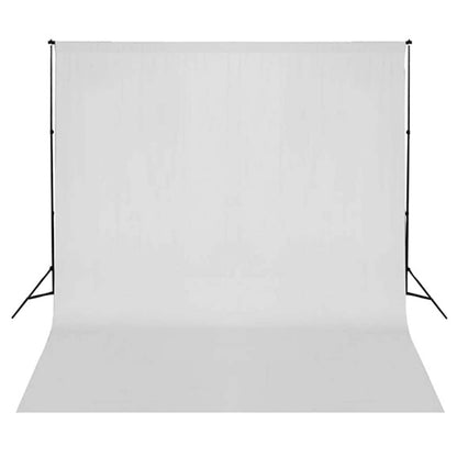 Fotostudio-Set mit Softboxen und Hintergrundsystem