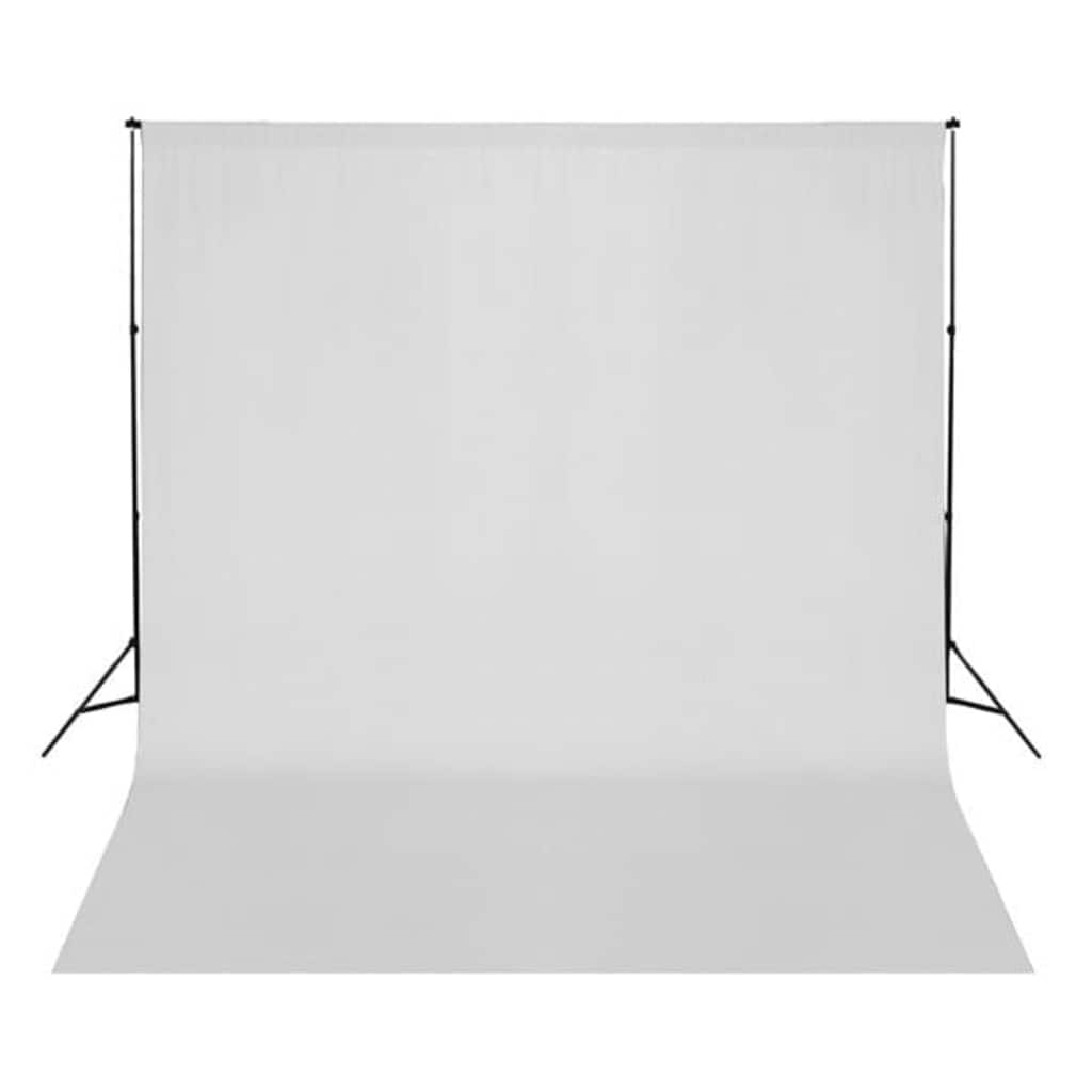 Fotostudio-Set mit Softboxen und Hintergrundsystem