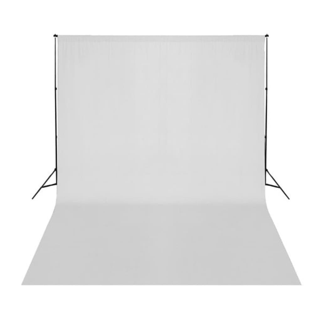 Fotostudio-Set mit Softboxen und Hintergrundsystem