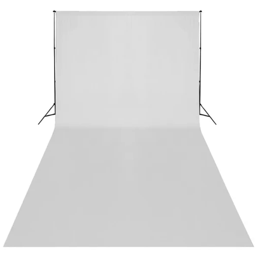 Fotostudio-Set mit Softboxen und Hintergrundsystem