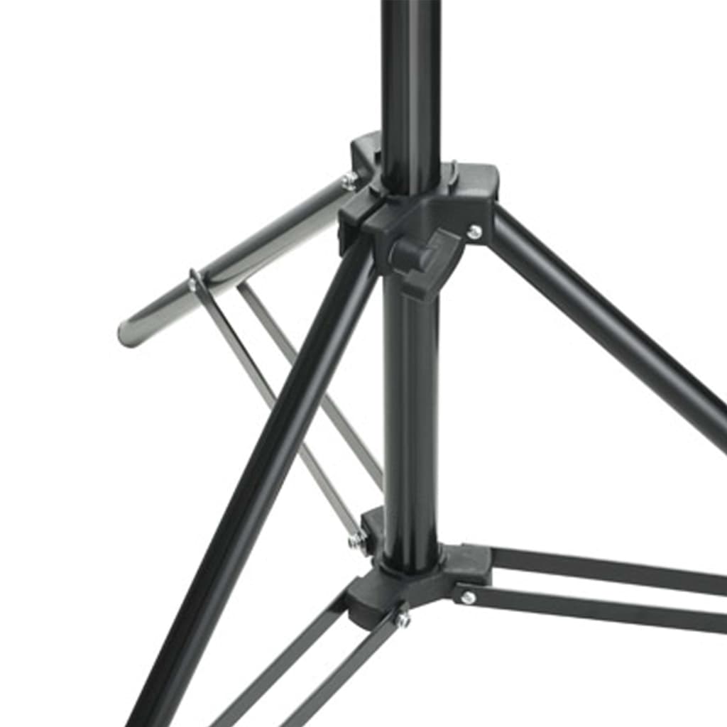 Fotostudio-Set mit Lampen-Set und Hintergrund