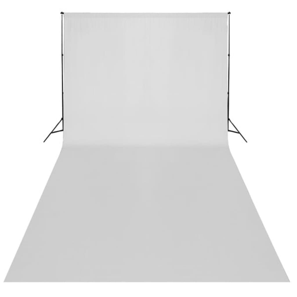 Fotostudio-Set mit Lampen und Hintergrundsystem
