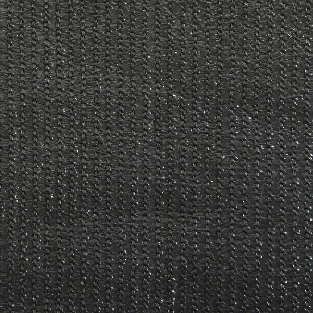 Außenrollo 60x140 cm Anthrazit
