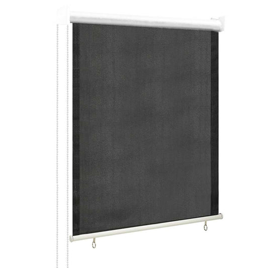 Außenrollo 85 (B) x 140 (H) cm Anthrazit