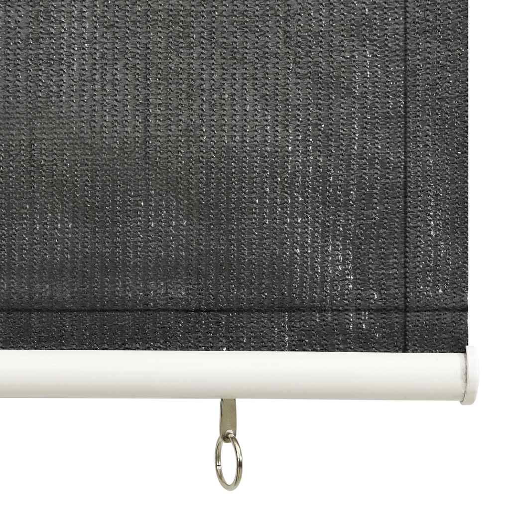 Außenrollo 85 (B) x 140 (H) cm Anthrazit