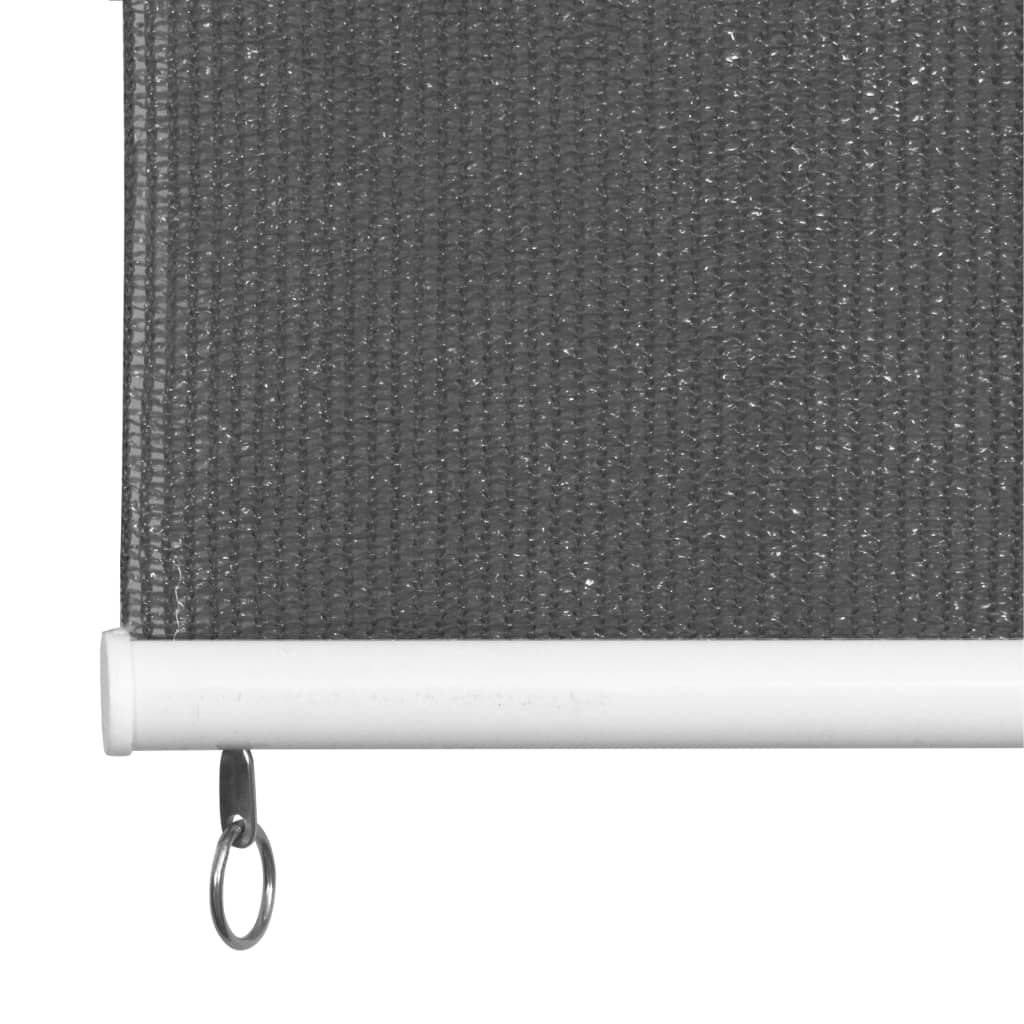 Außenrollo 60x230 cm Anthrazit