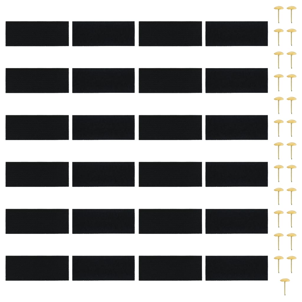 Fliegengitter-Türvorhänge 2 Stk. Magnet Schwarz 220x110 cm