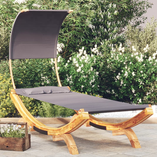 Bain de soleil avec toit 100x200x126 cm bois courbé massif anthracite