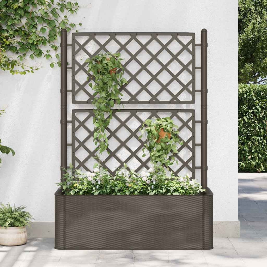 Garten-Hochbeet mit Spalier und Selbstbewässerungssystem Mokka