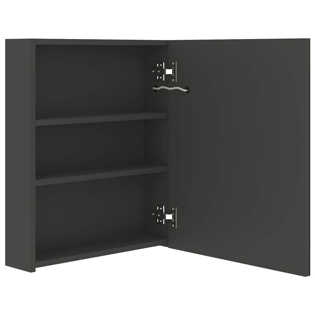 LED-Bad-Spiegelschrank Anthrazit 50x14x60 cm