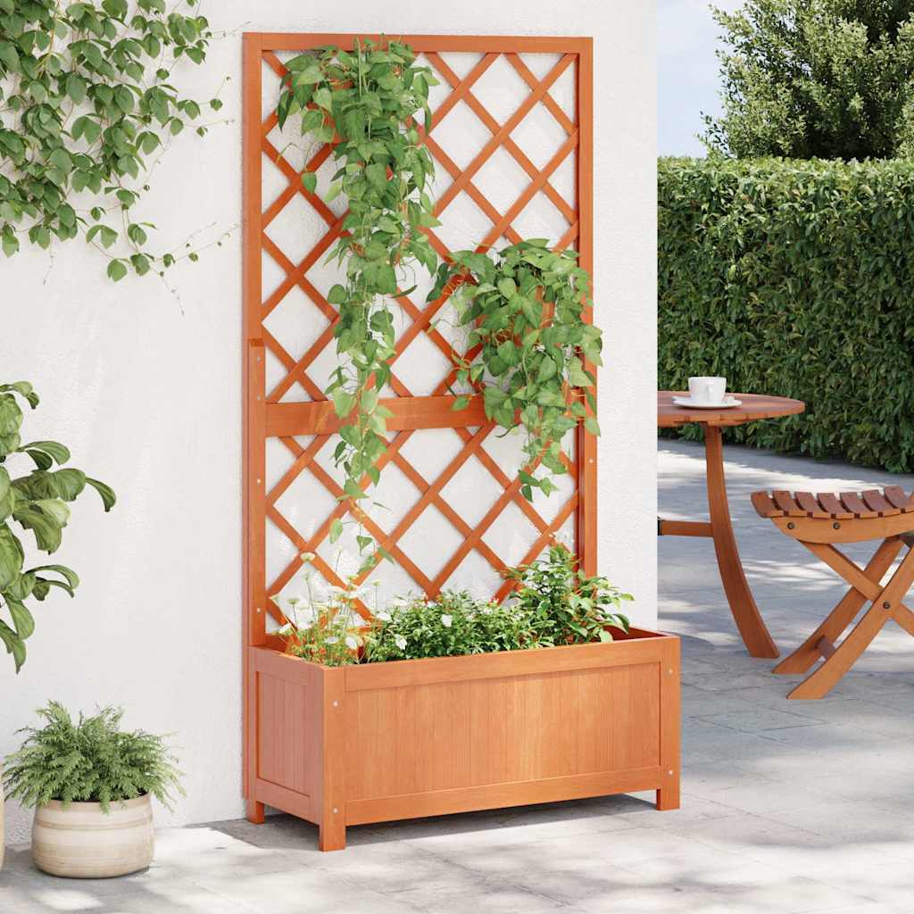 Pflanzkübel mit Spalier Braun 70x30x135 cm Massivholz Tanne