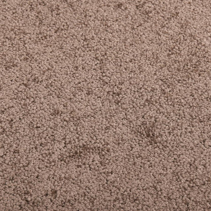 Fußmatte Braun 80x120 cm