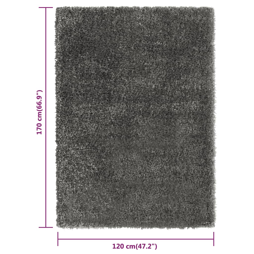 Shaggy-Teppich Hochflor Anthrazit 120x170 cm 50 mm