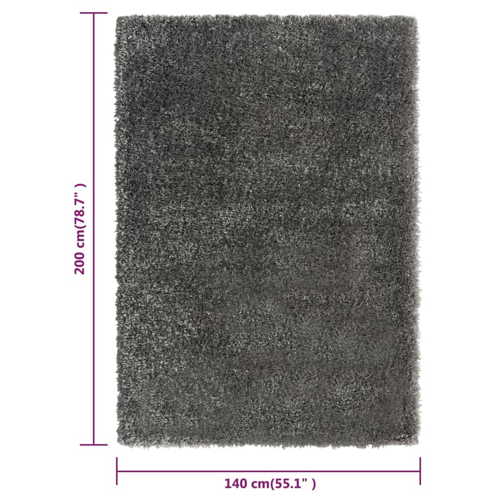 Shaggy Teppich Hochflor Anthrazit 140x200 cm 50 mm