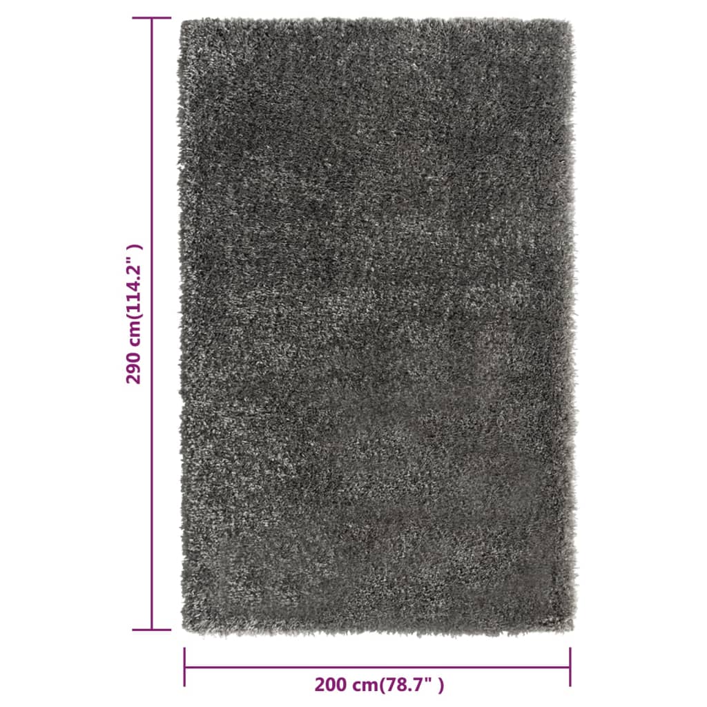 Shaggy-Teppich Hochflor Anthrazit 200x290 cm 50 mm