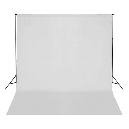 Fotostudio-Set mit Beleuchtung und Hintergrund