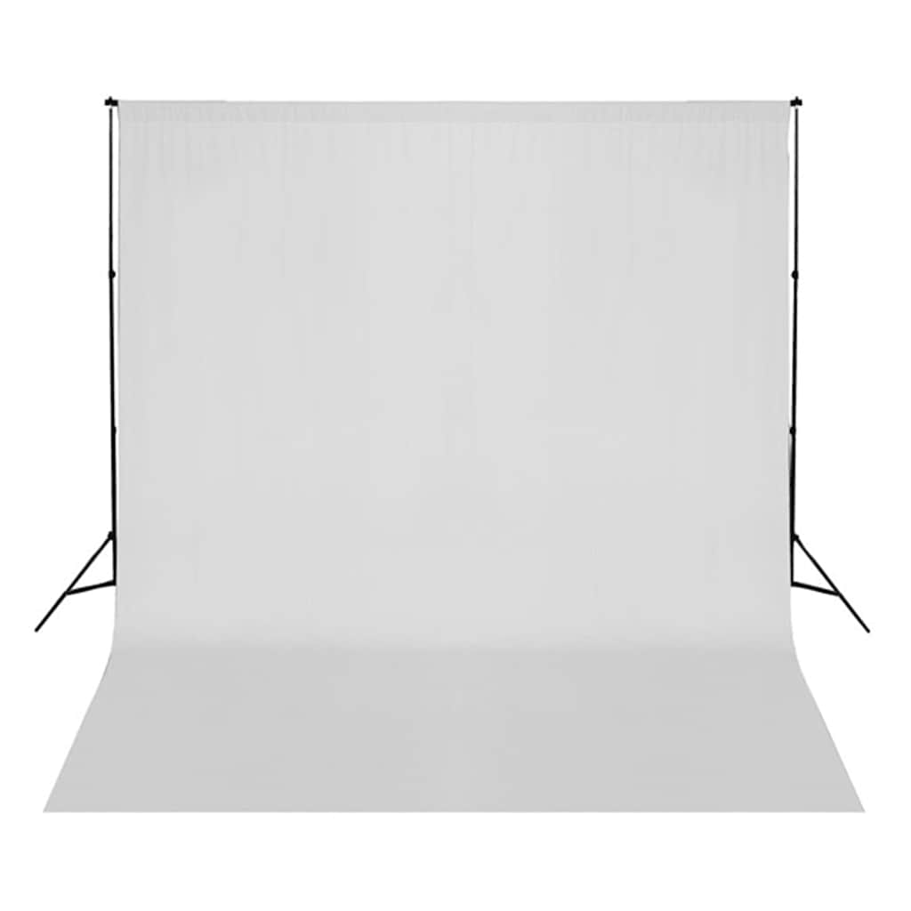 Fotostudio-Set mit Beleuchtung und Hintergrund