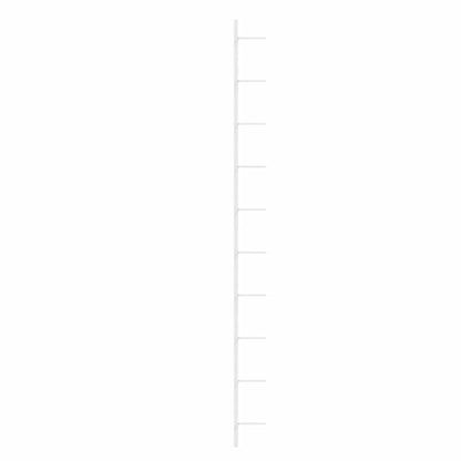 Wand-Weinregale für 10 Flaschen 2 Stk. Weiß Metall