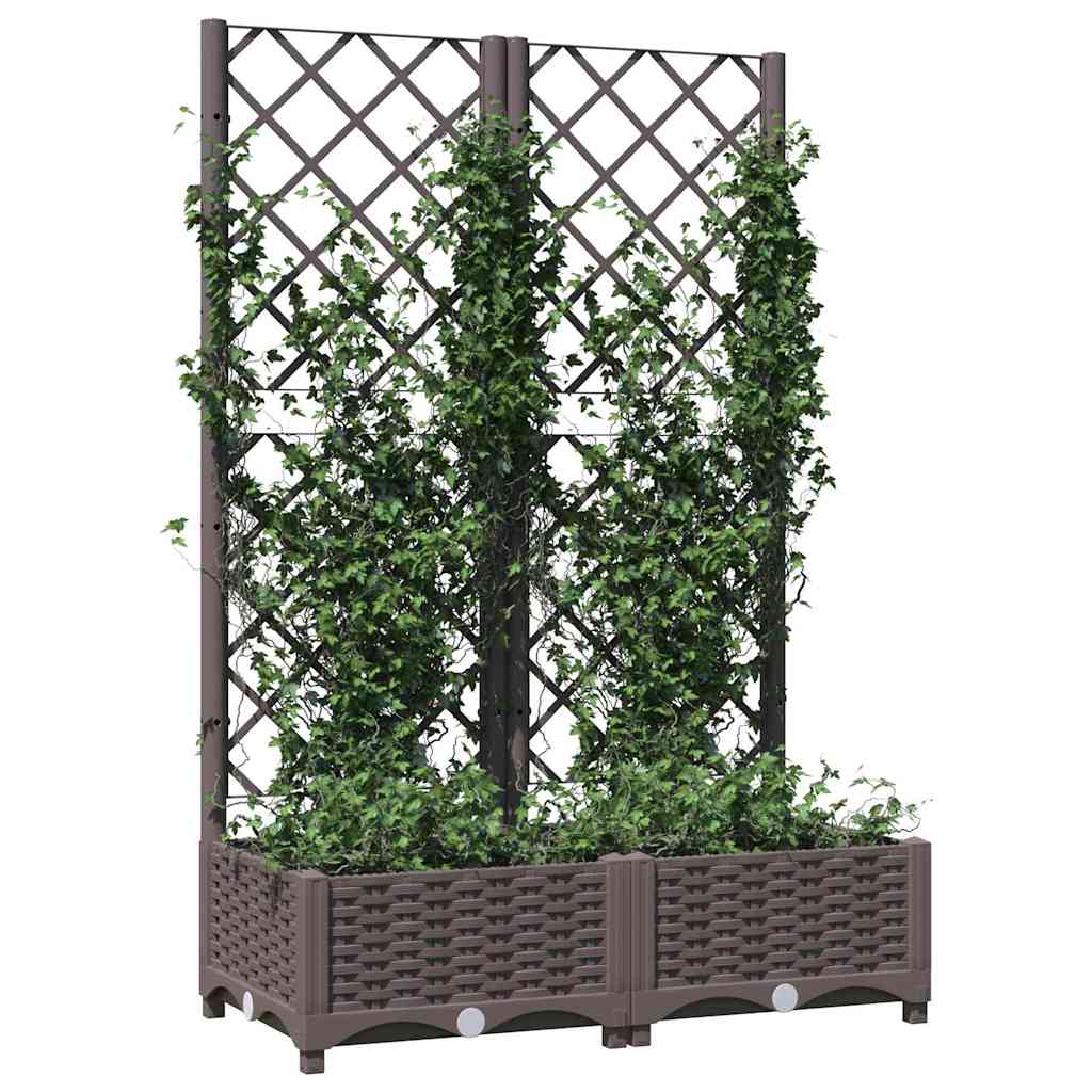 Garten Braun 80 x 40 x 121,5 cm