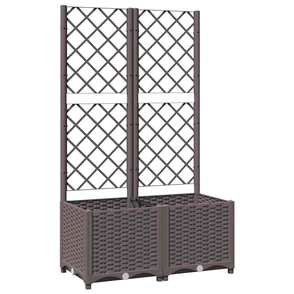Pflanzkübel mit Rankgitter Braun 80x40x136 cm PP