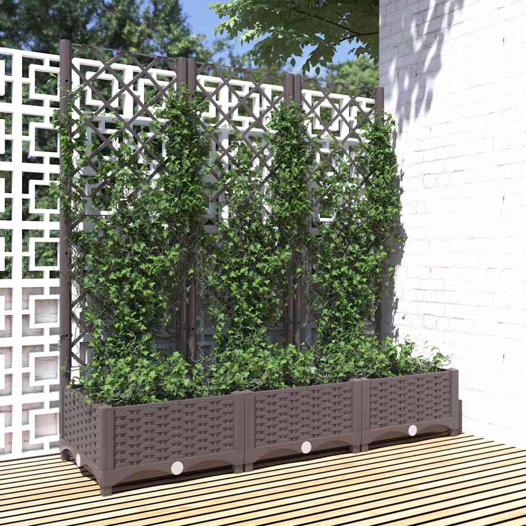 Garten-Pflanzgefäß mit Spalier Braun 120 x 40 x 121,5 cm PP