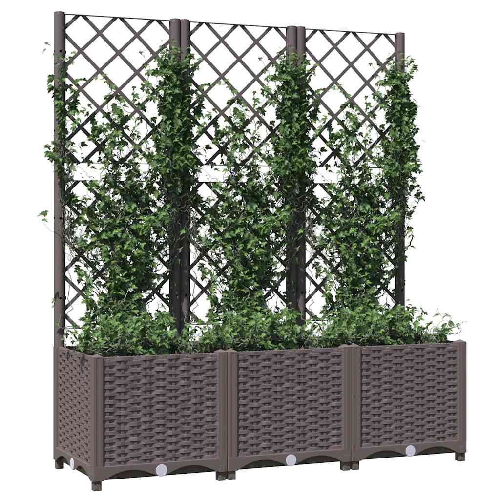 Garten-Pflanzgefäß mit Spalier Braun 120 x 40 x 136 cm PP