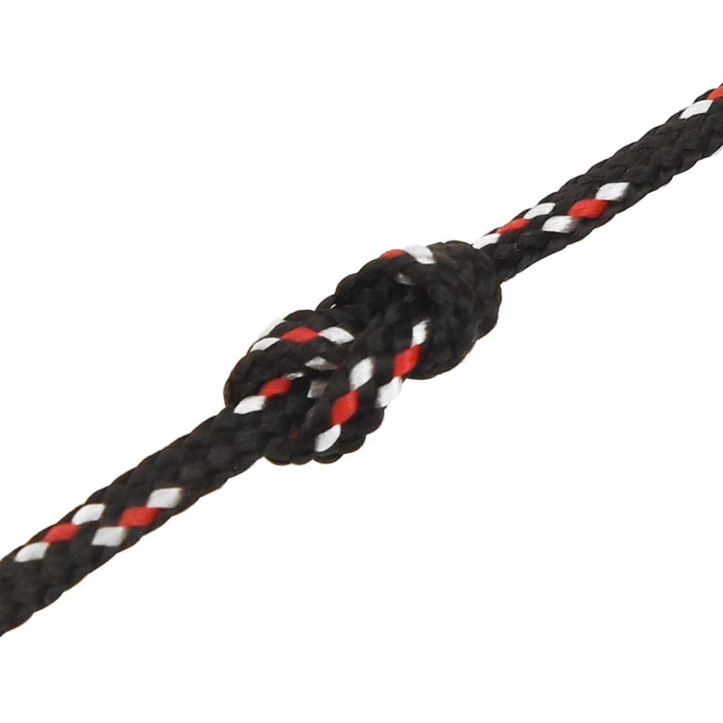 Bootsseil Schwarz 2 mm 100 m Polypropylen