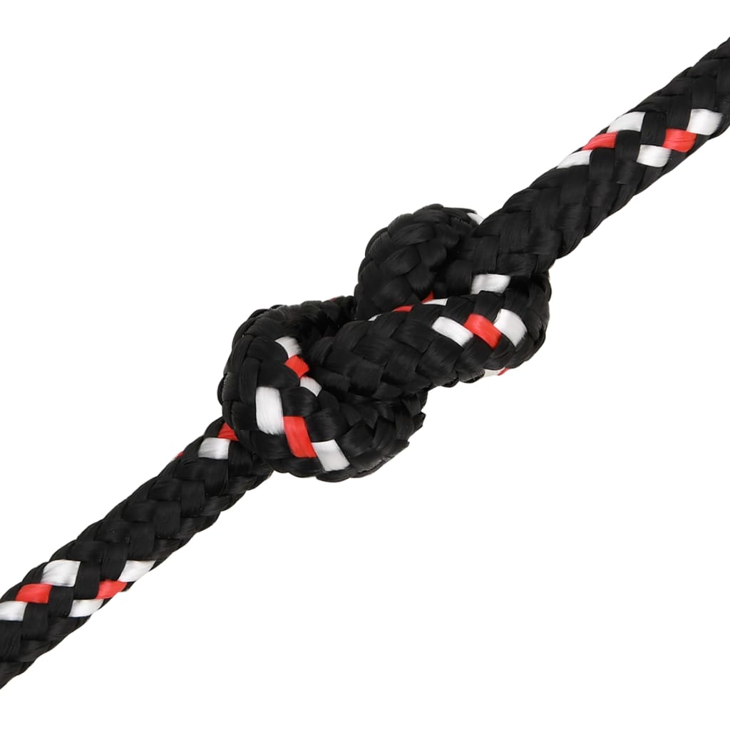 Bootsseil Schwarz 6 mm 25 m Polypropylen